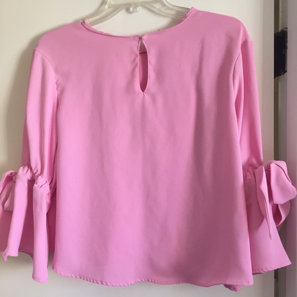 Zara Pink Ruffle Top - Picture 4 of 5